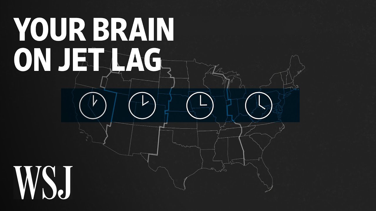 What Happens to Your Brain on Jet Lag WSJ US News TV
